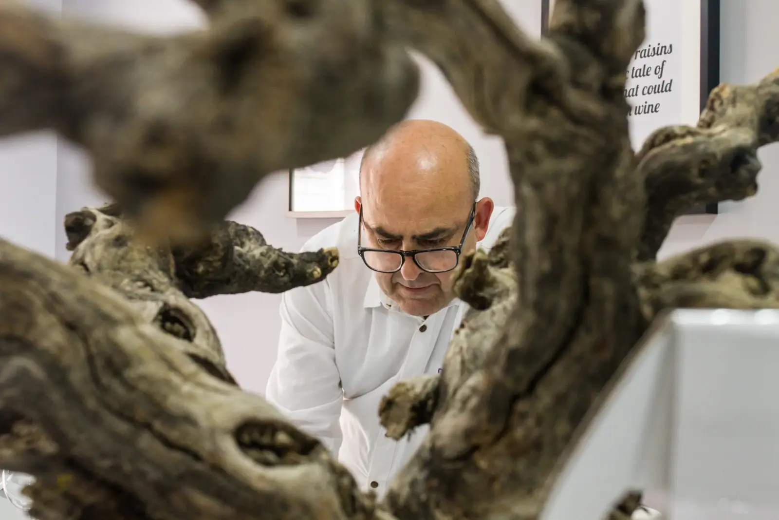Elaboración en bodega