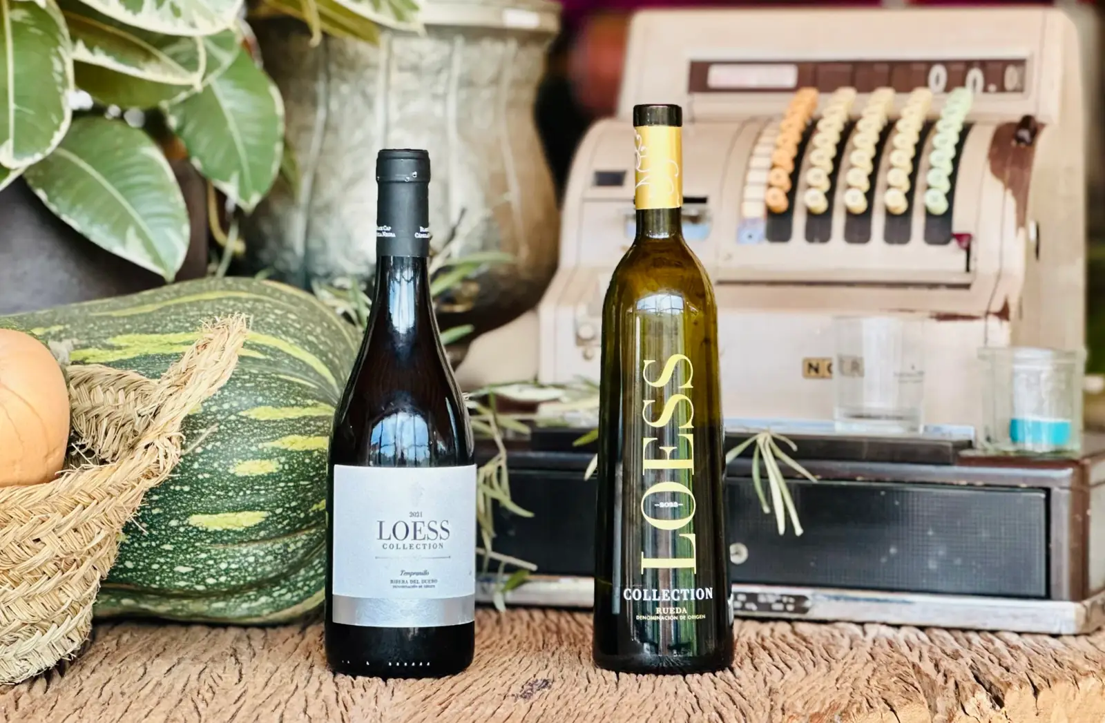 Maridaje de vino blanco con los blancos de Rueda de Loess